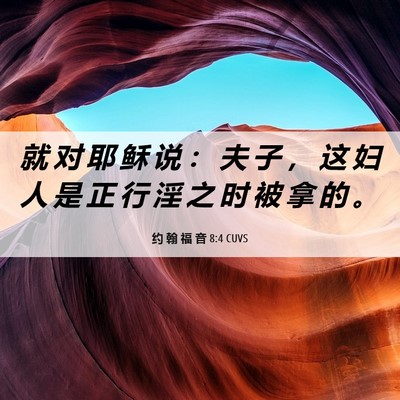 Picture 06 - 约 翰 福 音 8:4 CUVS - 就 对 耶 稣 说 ： 夫 子 ， 这 妇 人 - Bible Verse Picture