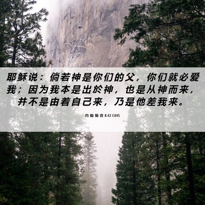 Picture 06 - 约 翰 福 音 8:42 CUVS - 耶 稣 说 ： 倘 若 神 是 你 们 的 父 - Bible Verse Picture