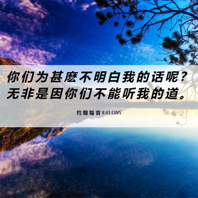 Picture 06 - 约 翰 福 音 8:43 CUVS - 你 们 为 甚 麽 不 明 白 我 的 话 呢 - Bible Verse Picture