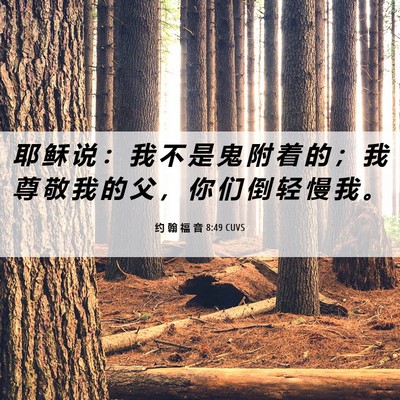 Picture 06 - 约 翰 福 音 8:49 CUVS - 耶 稣 说 ： 我 不 是 鬼 附 着 的 ； - Bible Verse Picture