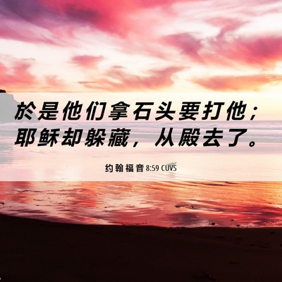 Picture 06 - 约 翰 福 音 8:59 CUVS - 於 是 他 们 拿 石 头 要 打 他 ； 耶 - Bible Verse Picture