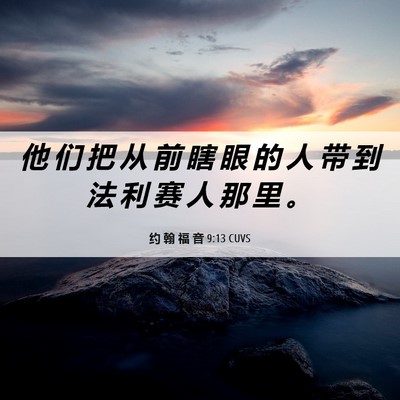 Picture 06 - 约 翰 福 音 9:13 CUVS - 他 们 把 从 前 瞎 眼 的 人 带 到 法 - Bible Verse Picture