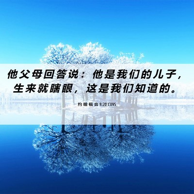Picture 06 - 约 翰 福 音 9:20 CUVS - 他 父 母 回 答 说 ： 他 是 我 们 的 - Bible Verse Picture