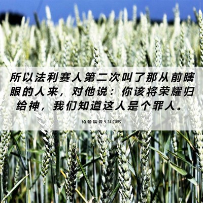 Picture 06 - 约 翰 福 音 9:24 CUVS - 所 以 法 利 赛 人 第 二 次 叫 了 那 - Bible Verse Picture