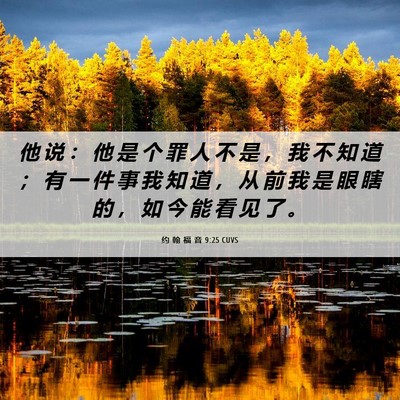 Picture 06 - 约 翰 福 音 9:25 CUVS - 他 说 ： 他 是 个 罪 人 不 是 ， 我 - Bible Verse Picture