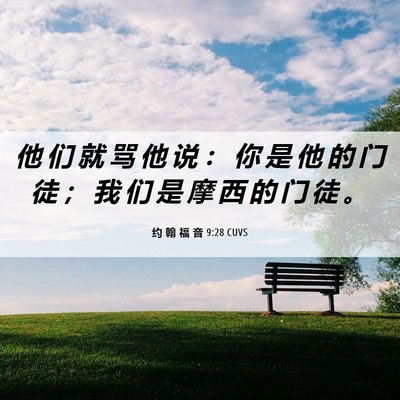 Picture 06 - 约 翰 福 音 9:28 CUVS - 他 们 就 骂 他 说 ： 你 是 他 的 门 - Bible Verse Picture