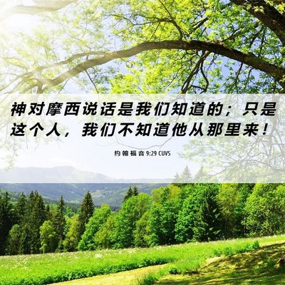 Picture 06 - 约 翰 福 音 9:29 CUVS - 神 对 摩 西 说 话 是 我 们 知 道 的 - Bible Verse Picture