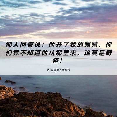 Picture 06 - 约 翰 福 音 9:30 CUVS - 那 人 回 答 说 ： 他 开 了 我 的 眼 - Bible Verse Picture
