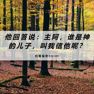 Picture 06 - 约 翰 福 音 9:36 CUVS - 他 回 答 说 ： 主 阿 ， 谁 是 神 的 - Bible Verse Picture