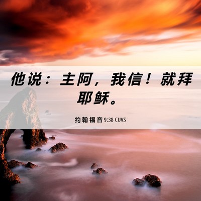 Picture 06 - 约 翰 福 音 9:38 CUVS - 他 说 ： 主 阿 ， 我 信 ！ 就 拜 耶 - Bible Verse Picture