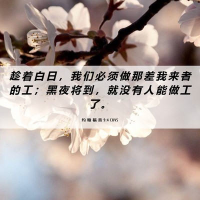 Picture 06 - 约 翰 福 音 9:4 CUVS - 趁 着 白 日 ， 我 们 必 须 做 那 差 - Bible Verse Picture