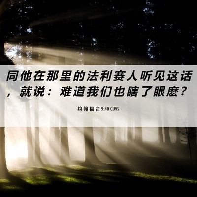 Picture 06 - 约 翰 福 音 9:40 CUVS - 同 他 在 那 里 的 法 利 赛 人 听 见 - Bible Verse Picture