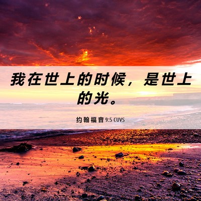 Picture 06 - 约 翰 福 音 9:5 CUVS - 我 在 世 上 的 时 候 ， 是 世 上 的 - Bible Verse Picture