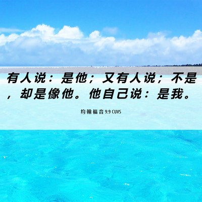 Picture 06 - 约 翰 福 音 9:9 CUVS - 有 人 说 ： 是 他 ； 又 有 人 说 ； - Bible Verse Picture
