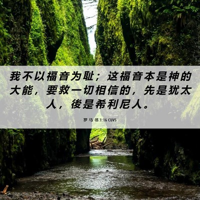 Picture 06 - 罗 马 书 1:16 CUVS - 我 不 以 福 音 为 耻 ； 这 福 音 本 - Bible Verse Picture