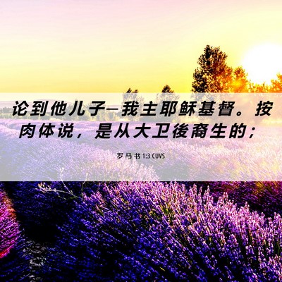 Picture 06 - 罗 马 书 1:3 CUVS - 论 到 他 儿 子 ─ 我 主 耶 稣 基 督 - Bible Verse Picture