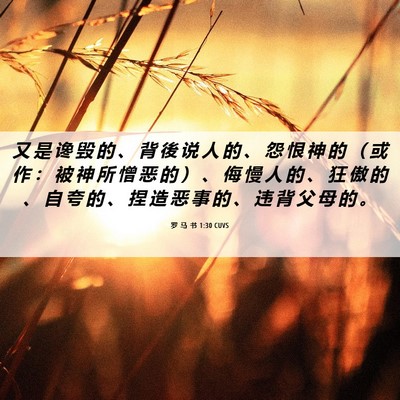 Picture 06 - 罗 马 书 1:30 CUVS - 又 是 谗 毁 的 、 背 後 说 人 的 、 - Bible Verse Picture