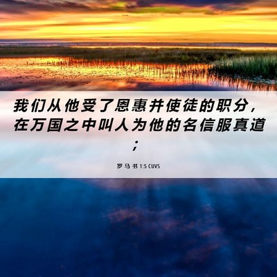 Picture 06 - 罗 马 书 1:5 CUVS - 我 们 从 他 受 了 恩 惠 并 使 徒 的 - Bible Verse Picture