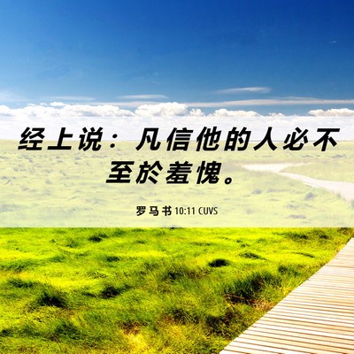 Picture 06 - 罗 马 书 10:11 CUVS - 经 上 说 ： 凡 信 他 的 人 必 不 至 - Bible Verse Picture