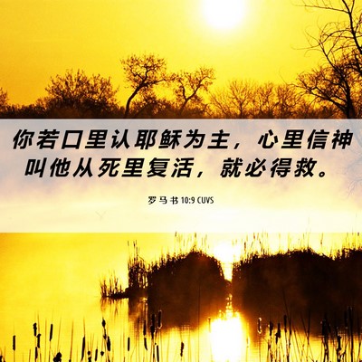 Picture 06 - 罗 马 书 10:9 CUVS - 你 若 口 里 认 耶 稣 为 主 ， 心 里 - Bible Verse Picture