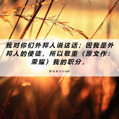 Picture 06 - 罗 马 书 11:13 CUVS - 我 对 你 们 外 邦 人 说 这 话 ； 因 - Bible Verse Picture