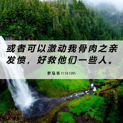 Picture 06 - 罗 马 书 11:14 CUVS - 或 者 可 以 激 动 我 骨 肉 之 亲 发 - Bible Verse Picture