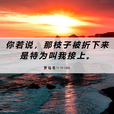 Picture 06 - 罗 马 书 11:19 CUVS - 你 若 说 ， 那 枝 子 被 折 下 来 是 - Bible Verse Picture