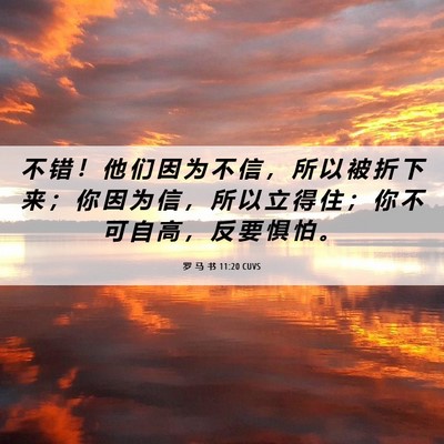 Picture 06 - 罗 马 书 11:20 CUVS - 不 错 ！ 他 们 因 为 不 信 ， 所 以 - Bible Verse Picture