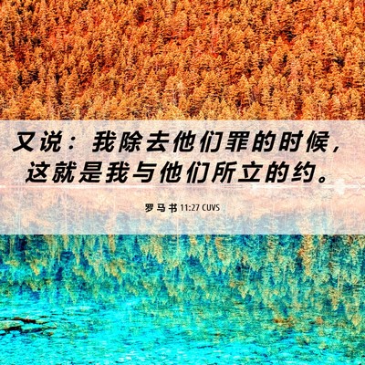 Picture 06 - 罗 马 书 11:27 CUVS - 又 说 ： 我 除 去 他 们 罪 的 时 候 - Bible Verse Picture