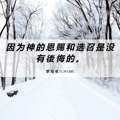 Picture 06 - 罗 马 书 11:29 CUVS - 因 为 神 的 恩 赐 和 选 召 是 没 有 - Bible Verse Picture