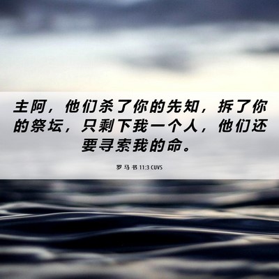 Picture 06 - 罗 马 书 11:3 CUVS - 主 阿 ， 他 们 杀 了 你 的 先 知 ， - Bible Verse Picture