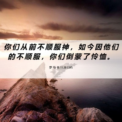 Picture 06 - 罗 马 书 11:30 CUVS - 你 们 从 前 不 顺 服 神 ， 如 今 因 - Bible Verse Picture