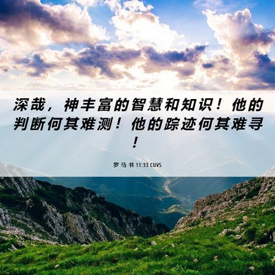 Picture 06 - 罗 马 书 11:33 CUVS - 深 哉 ， 神 丰 富 的 智 慧 和 知 识 - Bible Verse Picture