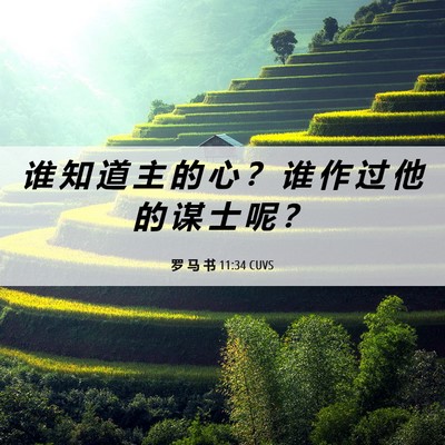 Picture 06 - 罗 马 书 11:34 CUVS - 谁 知 道 主 的 心 ？ 谁 作 过 他 的 - Bible Verse Picture