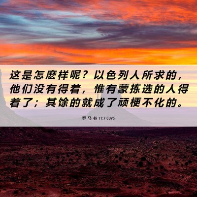 Picture 06 - 罗 马 书 11:7 CUVS - 这 是 怎 麽 样 呢 ？ 以 色 列 人 所 - Bible Verse Picture