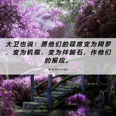 Picture 06 - 罗 马 书 11:9 CUVS - 大 卫 也 说 ： 愿 他 们 的 筵 席 变 - Bible Verse Picture