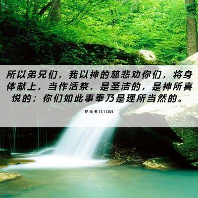Picture 06 - 罗 马 书 12:1 CUVS - 所 以 弟 兄 们 ， 我 以 神 的 慈 悲 - Bible Verse Picture