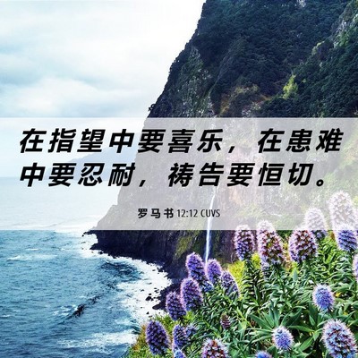 Picture 06 - 罗 马 书 12:12 CUVS - 在 指 望 中 要 喜 乐 ， 在 患 难 中 - Bible Verse Picture
