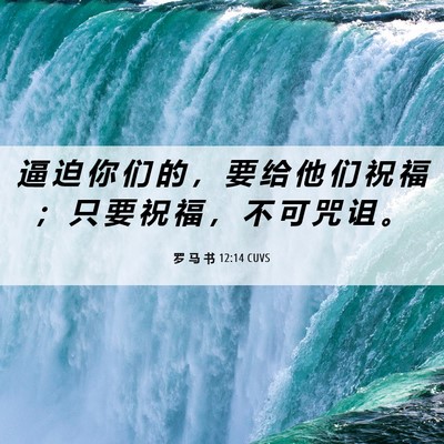 Picture 06 - 罗 马 书 12:14 CUVS - 逼 迫 你 们 的 ， 要 给 他 们 祝 福 - Bible Verse Picture