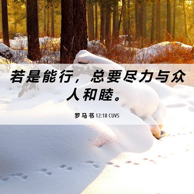 Picture 06 - 罗 马 书 12:18 CUVS - 若 是 能 行 ， 总 要 尽 力 与 众 人 - Bible Verse Picture