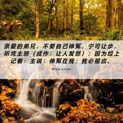 Picture 06 - 罗 马 书 12:19 CUVS - 亲 爱 的 弟 兄 ， 不 要 自 己 伸 冤 - Bible Verse Picture