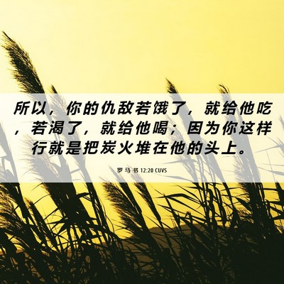 Picture 06 - 罗 马 书 12:20 CUVS - 所 以 ， 你 的 仇 敌 若 饿 了 ， 就 - Bible Verse Picture