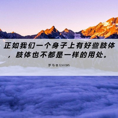 Picture 06 - 罗 马 书 12:4 CUVS - 正 如 我 们 一 个 身 子 上 有 好 些 - Bible Verse Picture