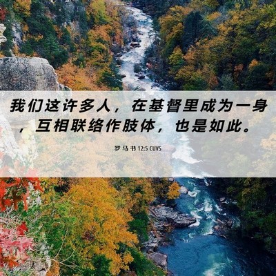 Picture 06 - 罗 马 书 12:5 CUVS - 我 们 这 许 多 人 ， 在 基 督 里 成 - Bible Verse Picture