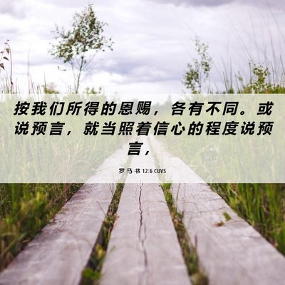 Picture 06 - 罗 马 书 12:6 CUVS - 按 我 们 所 得 的 恩 赐 ， 各 有 不 - Bible Verse Picture