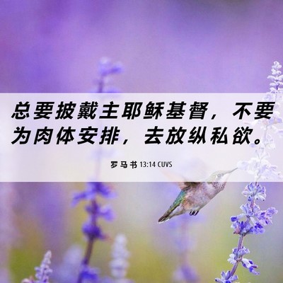 Picture 06 - 罗 马 书 13:14 CUVS - 总 要 披 戴 主 耶 稣 基 督 ， 不 要 - Bible Verse Picture