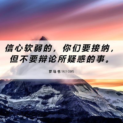 Picture 06 - 罗 马 书 14:1 CUVS - 信 心 软 弱 的 ， 你 们 要 接 纳 ， - Bible Verse Picture
