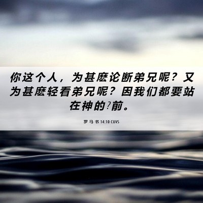 Picture 06 - 罗 马 书 14:10 CUVS - 你 这 个 人 ， 为 甚 麽 论 断 弟 兄 - Bible Verse Picture
