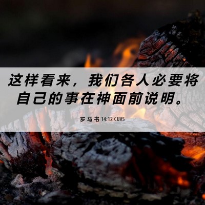 Picture 06 - 罗 马 书 14:12 CUVS - 这 样 看 来 ， 我 们 各 人 必 要 将 - Bible Verse Picture