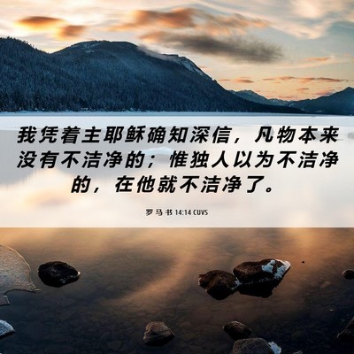 Picture 06 - 罗 马 书 14:14 CUVS - 我 凭 着 主 耶 稣 确 知 深 信 ， 凡 - Bible Verse Picture